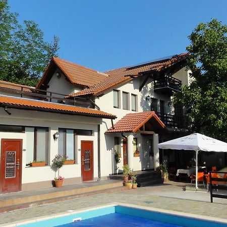 Vila Europa Sărata-Monteoru Kültér fotó