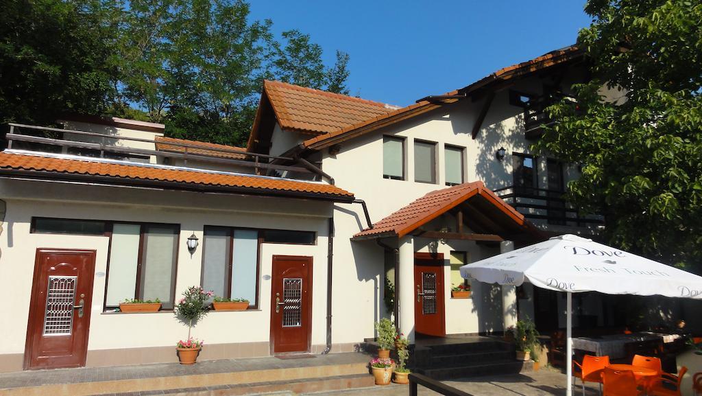 Vila Europa Sărata-Monteoru Kültér fotó