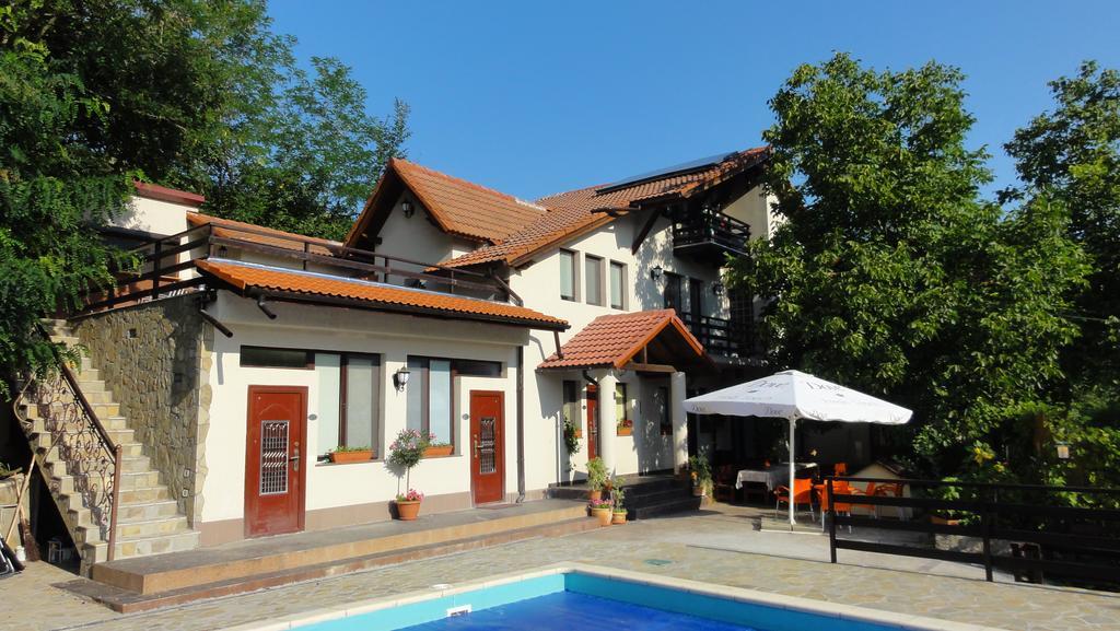 Vila Europa Sărata-Monteoru Kültér fotó