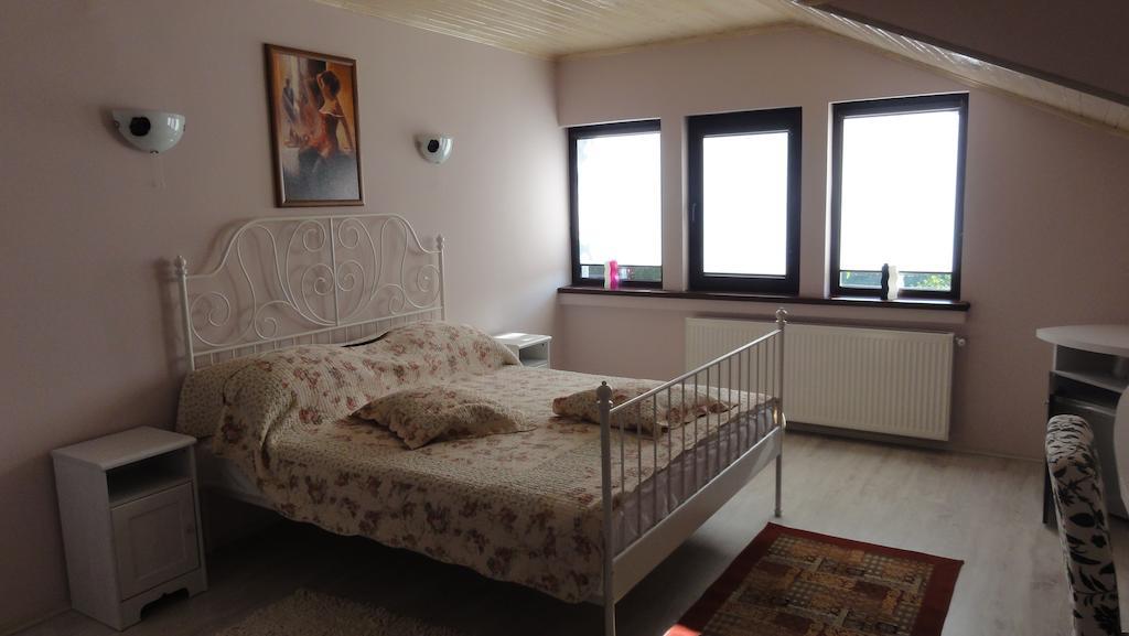 Vila Europa Sărata-Monteoru Szoba fotó